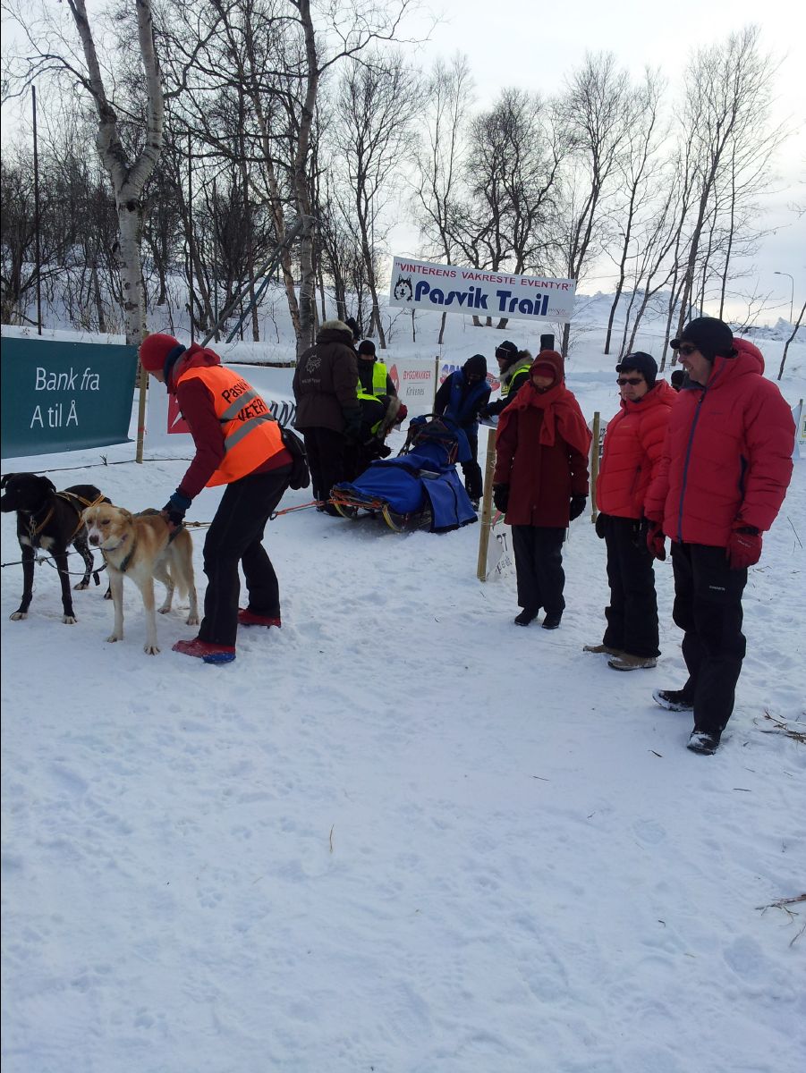 Dog Race23